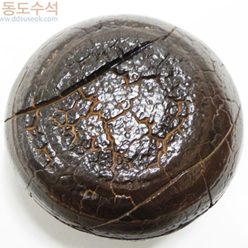 구갑석