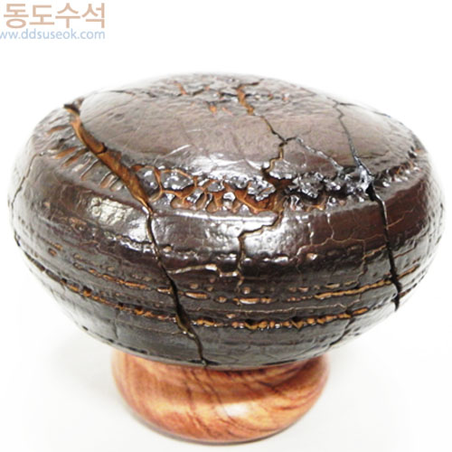 구갑석
