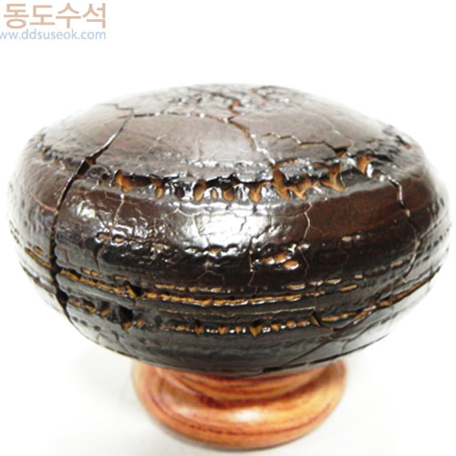 구갑석
