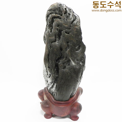 쬬코입석