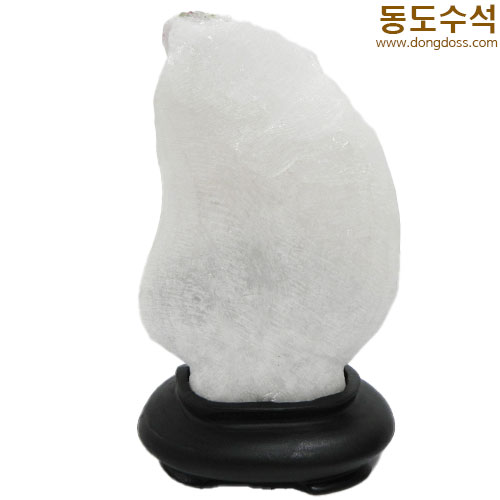 설중매