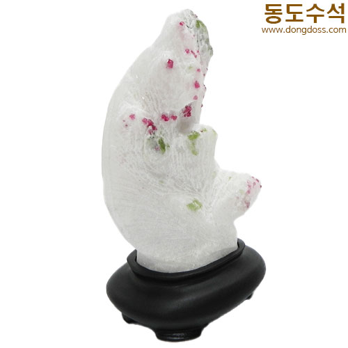 설중매