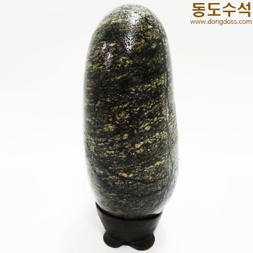 바다가나무