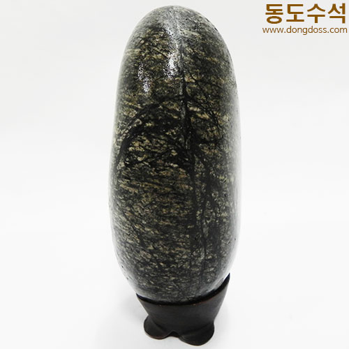 바다가나무