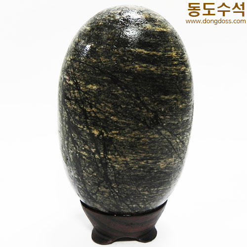 바다가나무