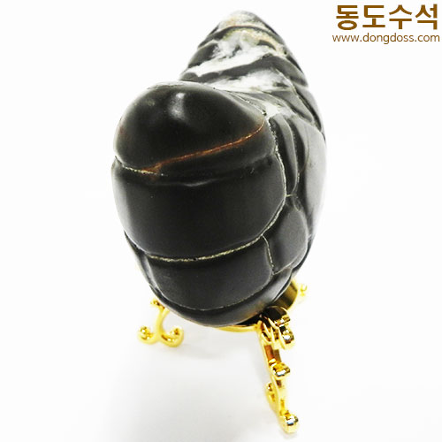 하트구갑석