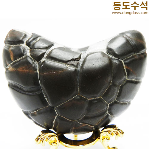 하트구갑석