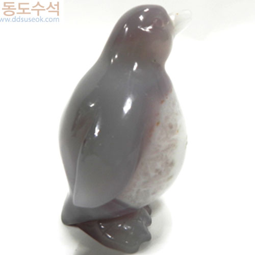 팽균쌍
