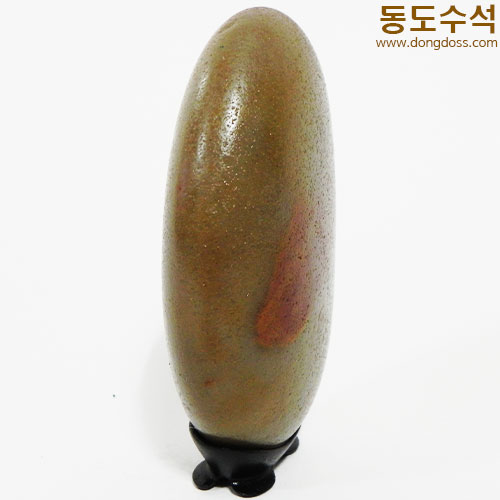 정열에태양