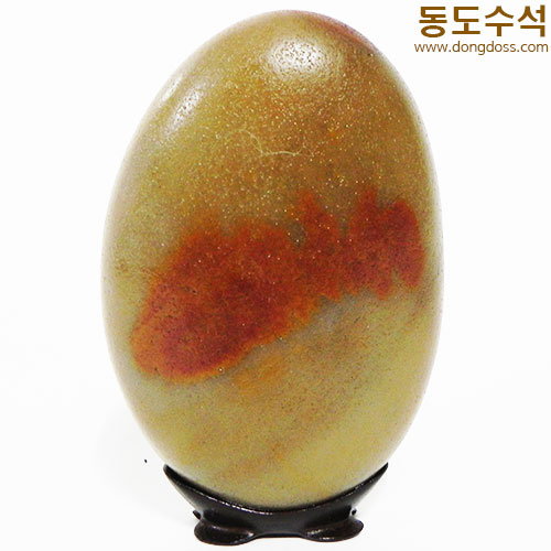 정열에태양