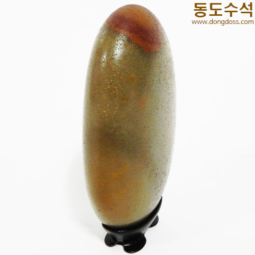 정열에태양