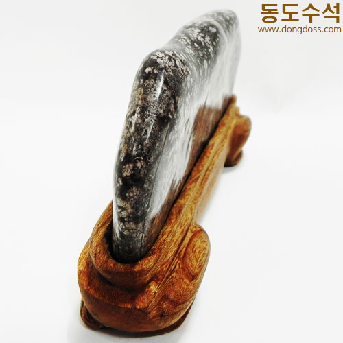 분홍소국화