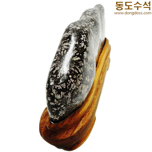 분홍소국화