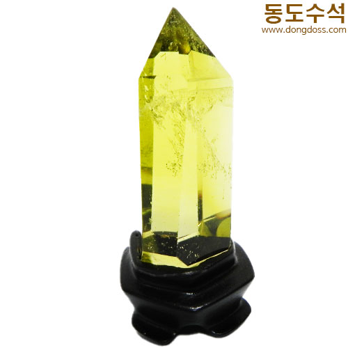 황수정
