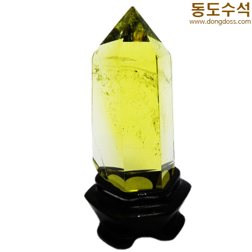 황수정