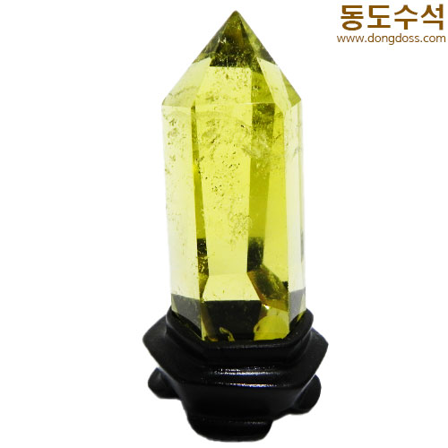 황수정