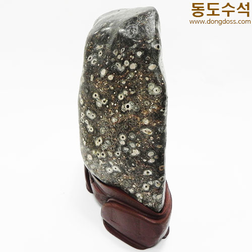 백매화