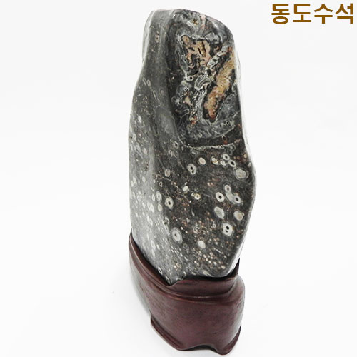 백매화