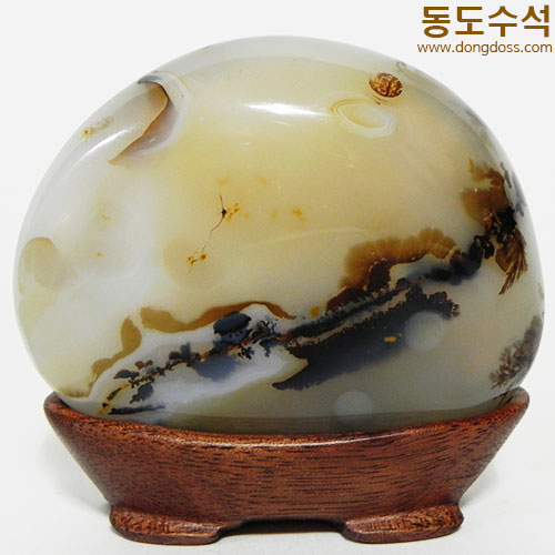 꽃동산