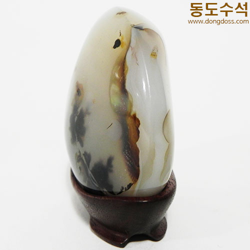 꽃동산