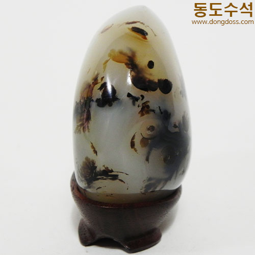 꽃동산