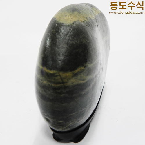 바다노울