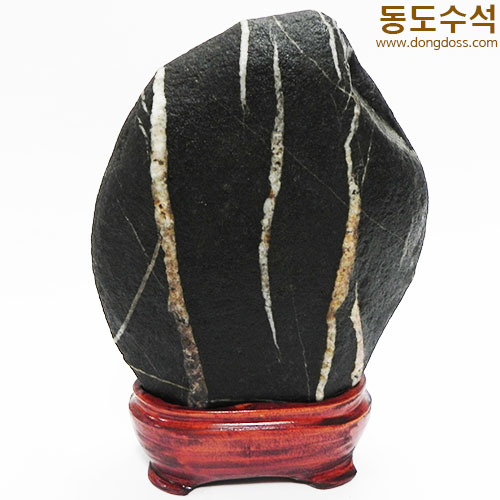 사람과나무