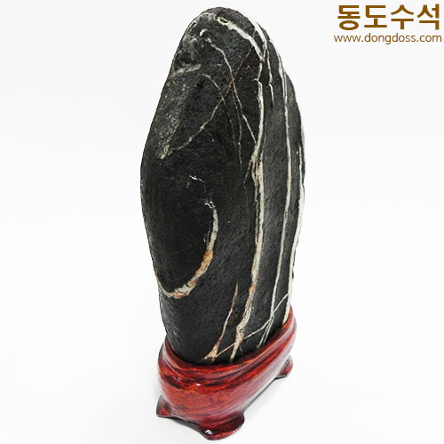 사람과나무