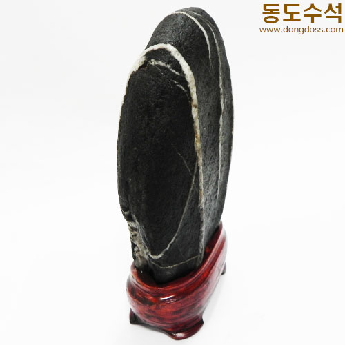 사람과나무