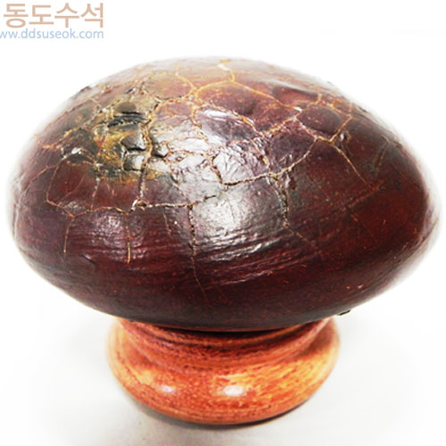 구갑석