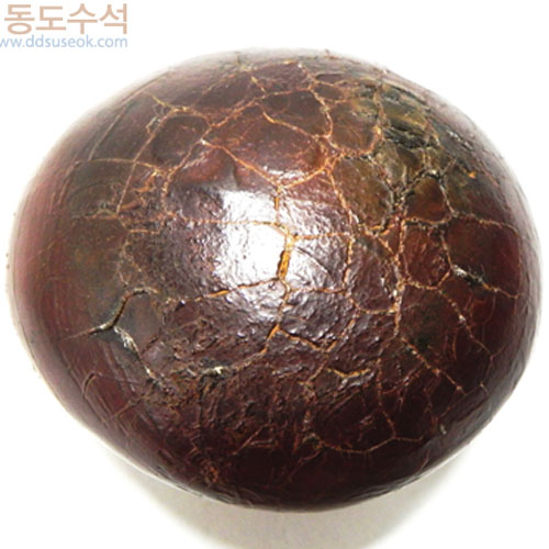 구갑석