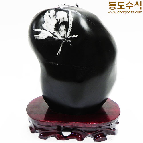 국화석