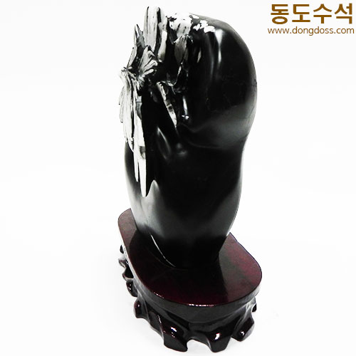 국화석