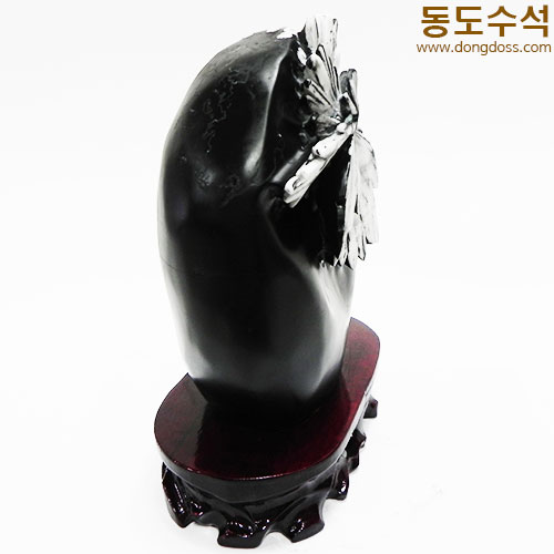 국화석