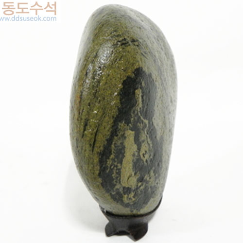 사람과동물