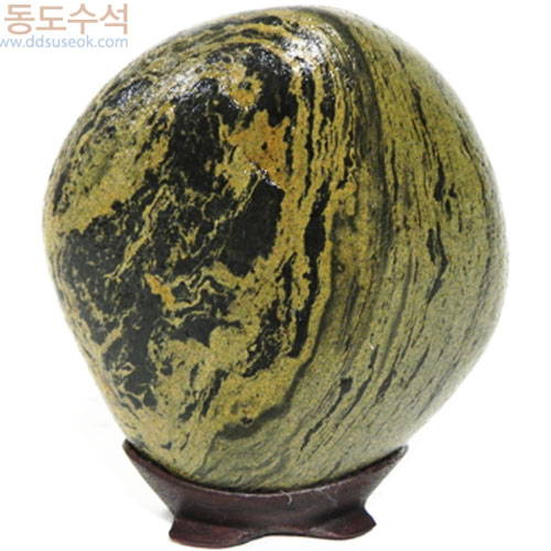 사람과동물