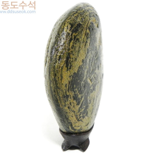 사람과동물