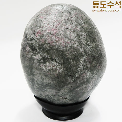 진달래동산