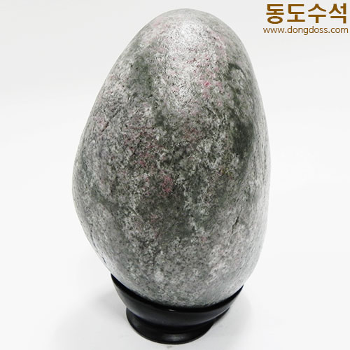 진달래동산