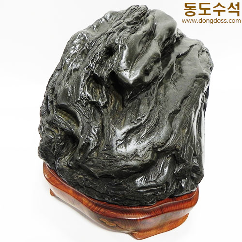 갯바위(쬬코)