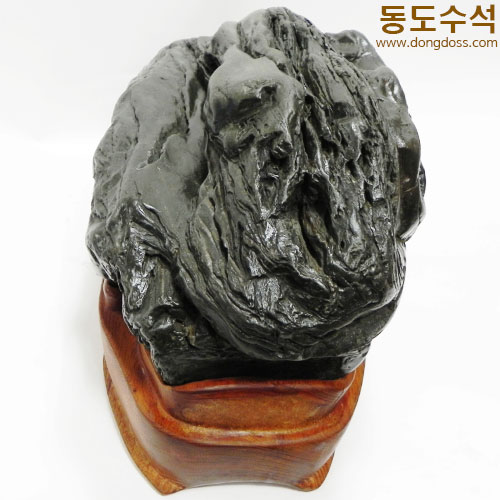 갯바위(쬬코)