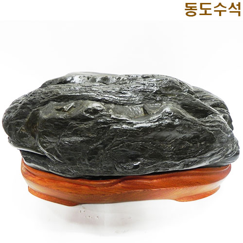 갯바위(쬬코)