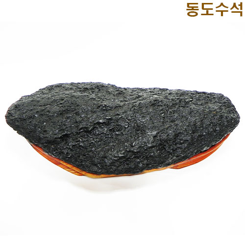갯바위석