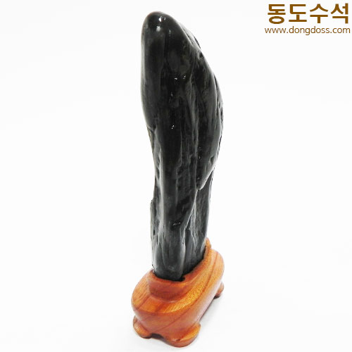 갯바위석