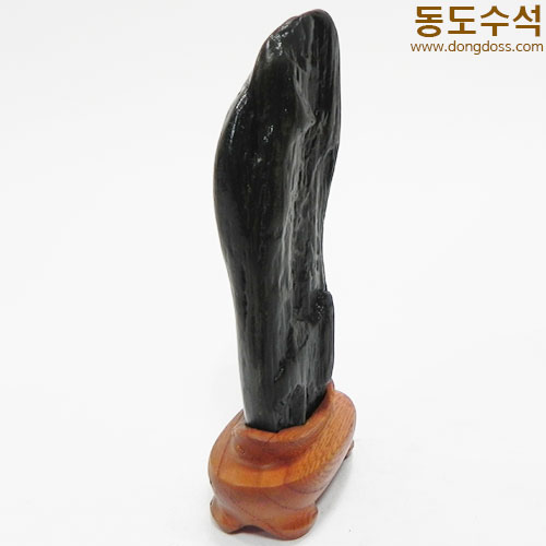 갯바위석