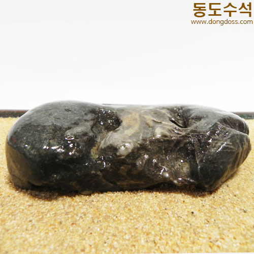 갯바위석