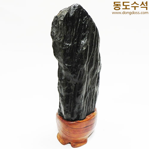 쬬코입석