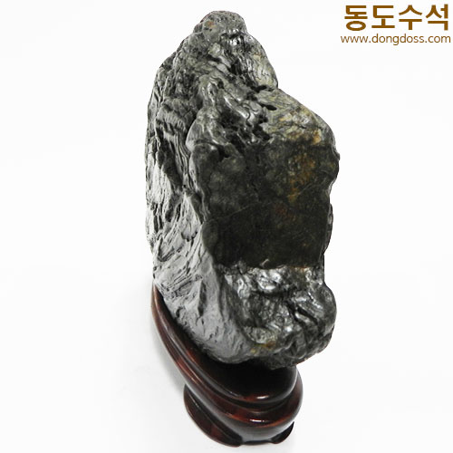 빗살쬬코