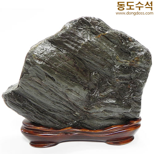 빗살쬬코